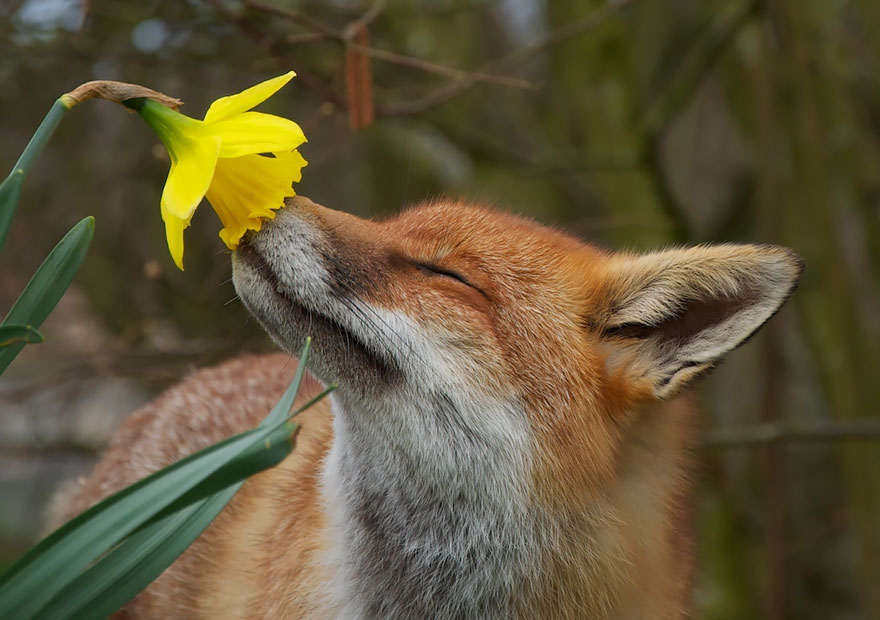 Go Out and Smell the Flowers!